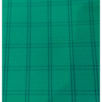 Canvas Dale Green 16oz 205cm wide x 1m cut For Horse Rugs, Campervans and Heavy use