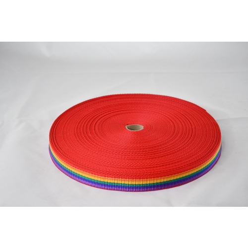 Polypropylene Webbing MULTI 25mm x 10mt