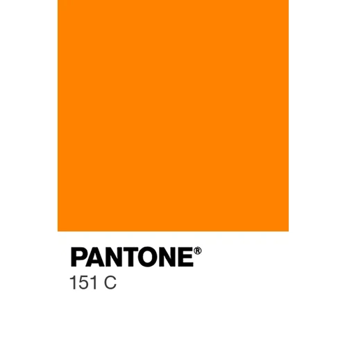 Polyester Ripstop PU Coated 600D Safety Orange